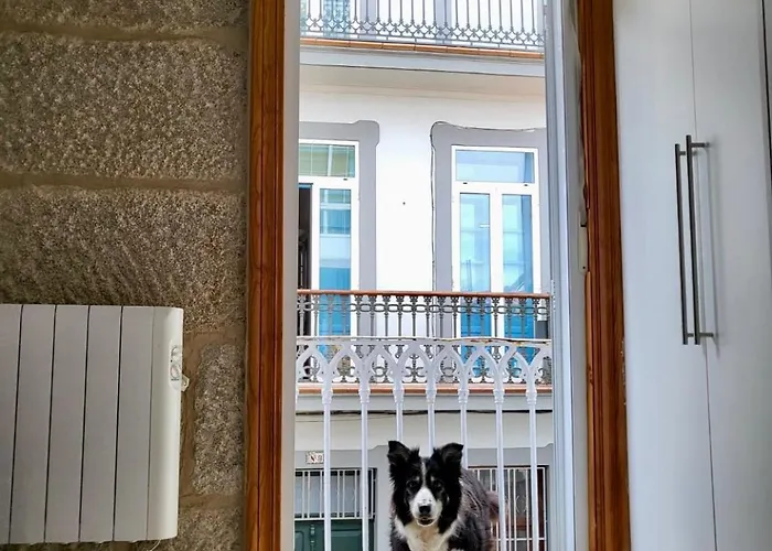 Centrico Y Acogedor Daire *